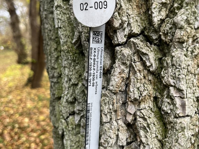 INVITRA_Quartierschild_am_Baum