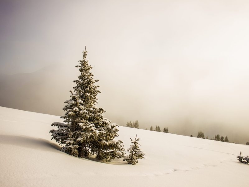 snow-1840617 snow-1840617